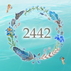 エンジェルナンバー2442 数字の意味から恋愛まで、天使が伝えたいこと。