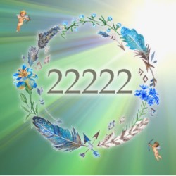 エンジェルナンバー22222 数字の意味から恋愛まで、天使が伝えたいこと。